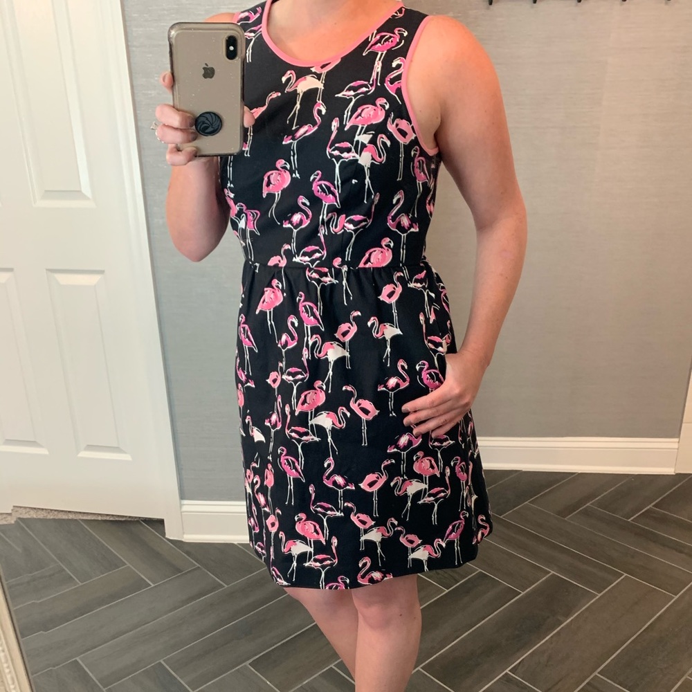 Crown and ivy dress